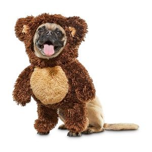 Teddy bear dog costume size L